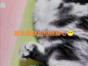 小野 TK 一视频丨VK 挠脚心可爱迷人的卡通猫咪 T 恤，带来独特的时尚风格