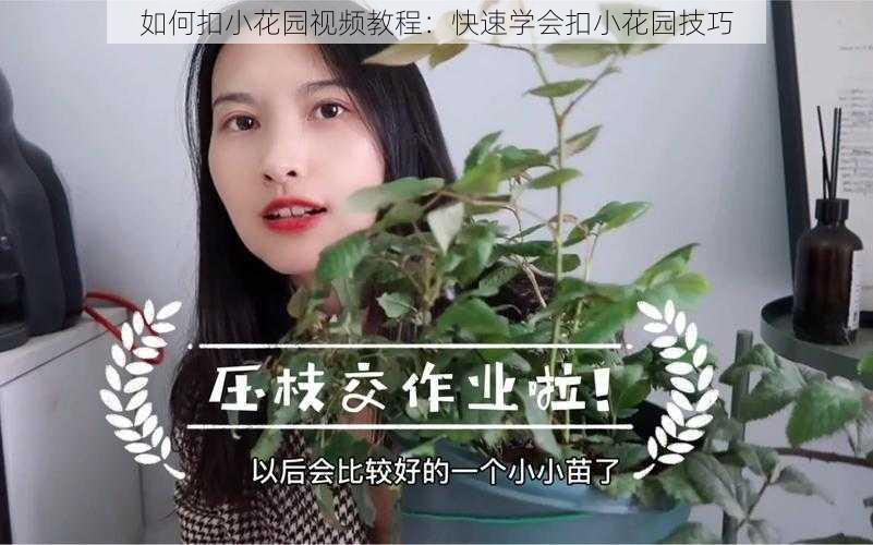 如何扣小花园视频教程：快速学会扣小花园技巧