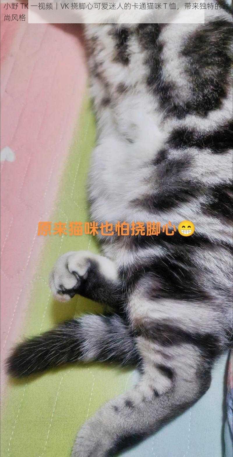 小野 TK 一视频丨VK 挠脚心可爱迷人的卡通猫咪 T 恤，带来独特的时尚风格