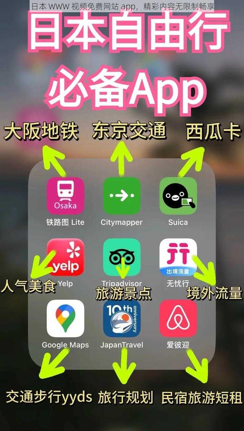 日本 WWW 视频免费网站 app，精彩内容无限制畅享